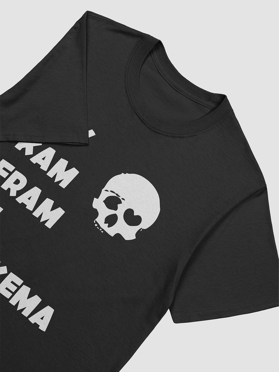 Wy Kam Fram De Harkema - Shirt product image (29)