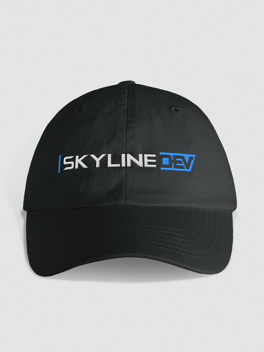 Skyline Dev Hat product image (2)