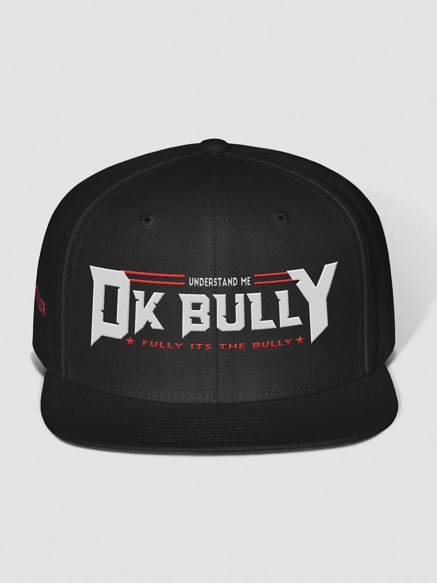 UNDERSTAND FULLY (WOOL HAT ) LD product image (1)