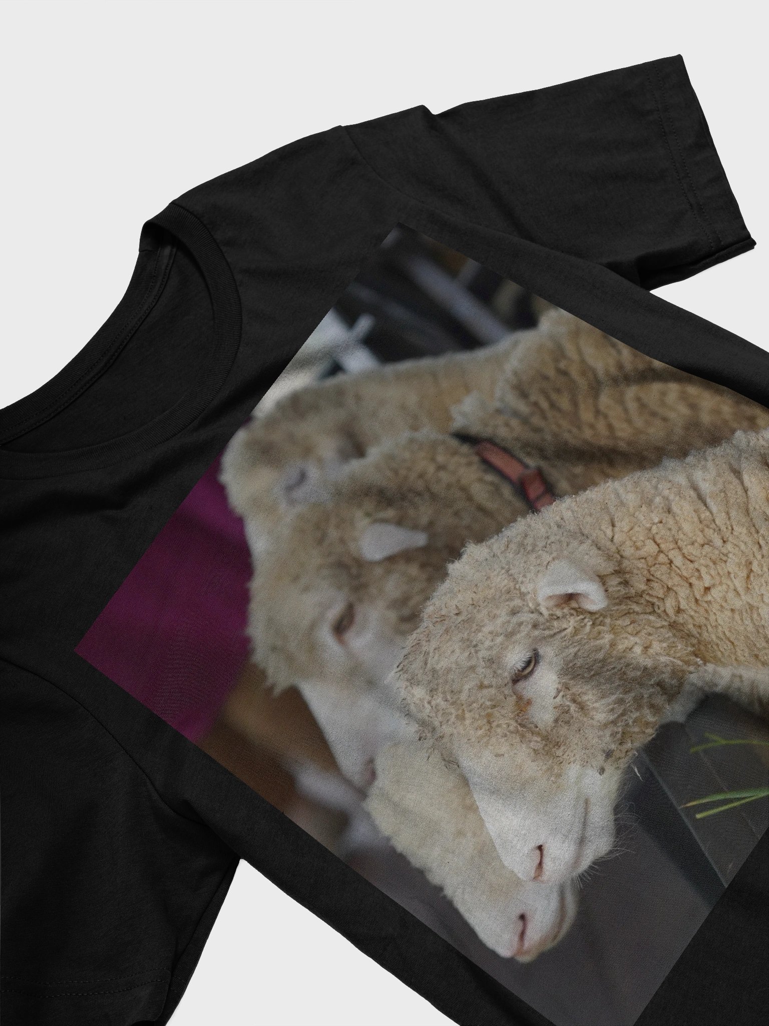 Curly Comfort Sheep T-Shirt product image (3)
