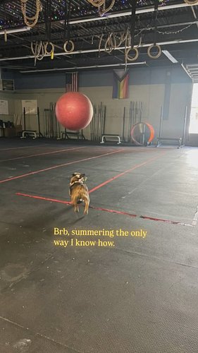 If you think the weather is hot, you have seen nothing yet 😎🥵🔥

#crossfitsomerville #crossfit #community #fitfriends #crossfi...