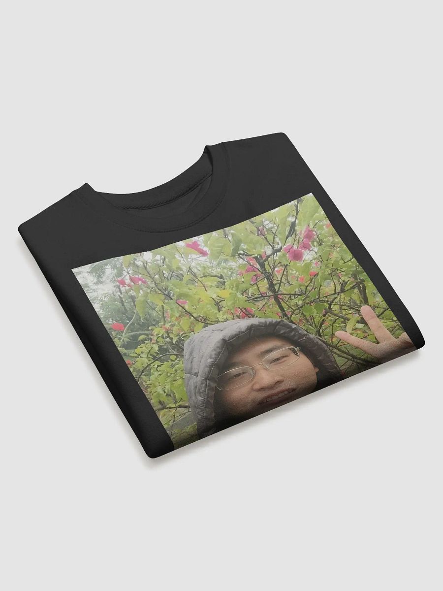 Cotton Heritage Premium Sweatshirt： rainy day product image (29)