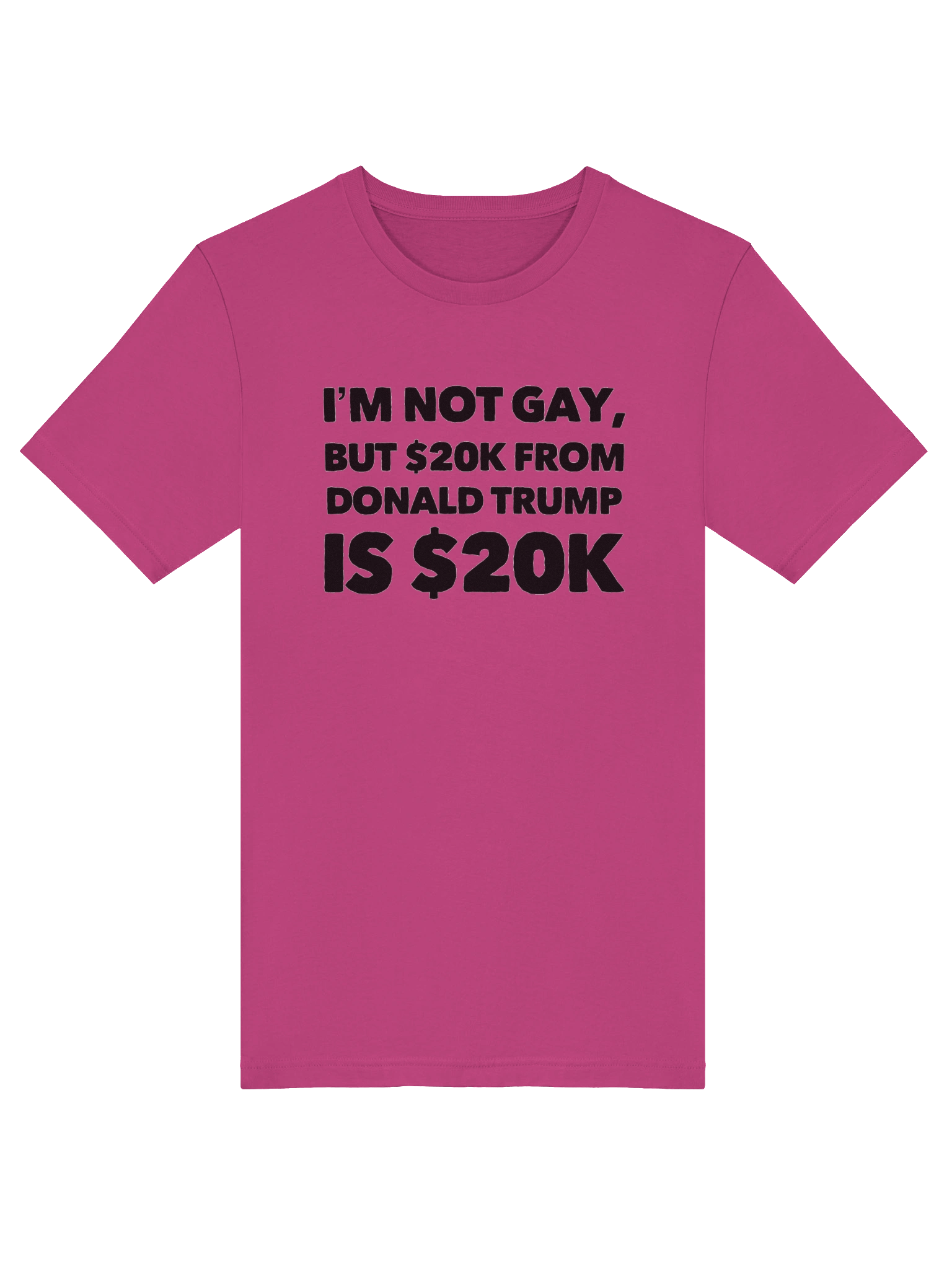 Not Gay $20K Tee Shirt product image (17)