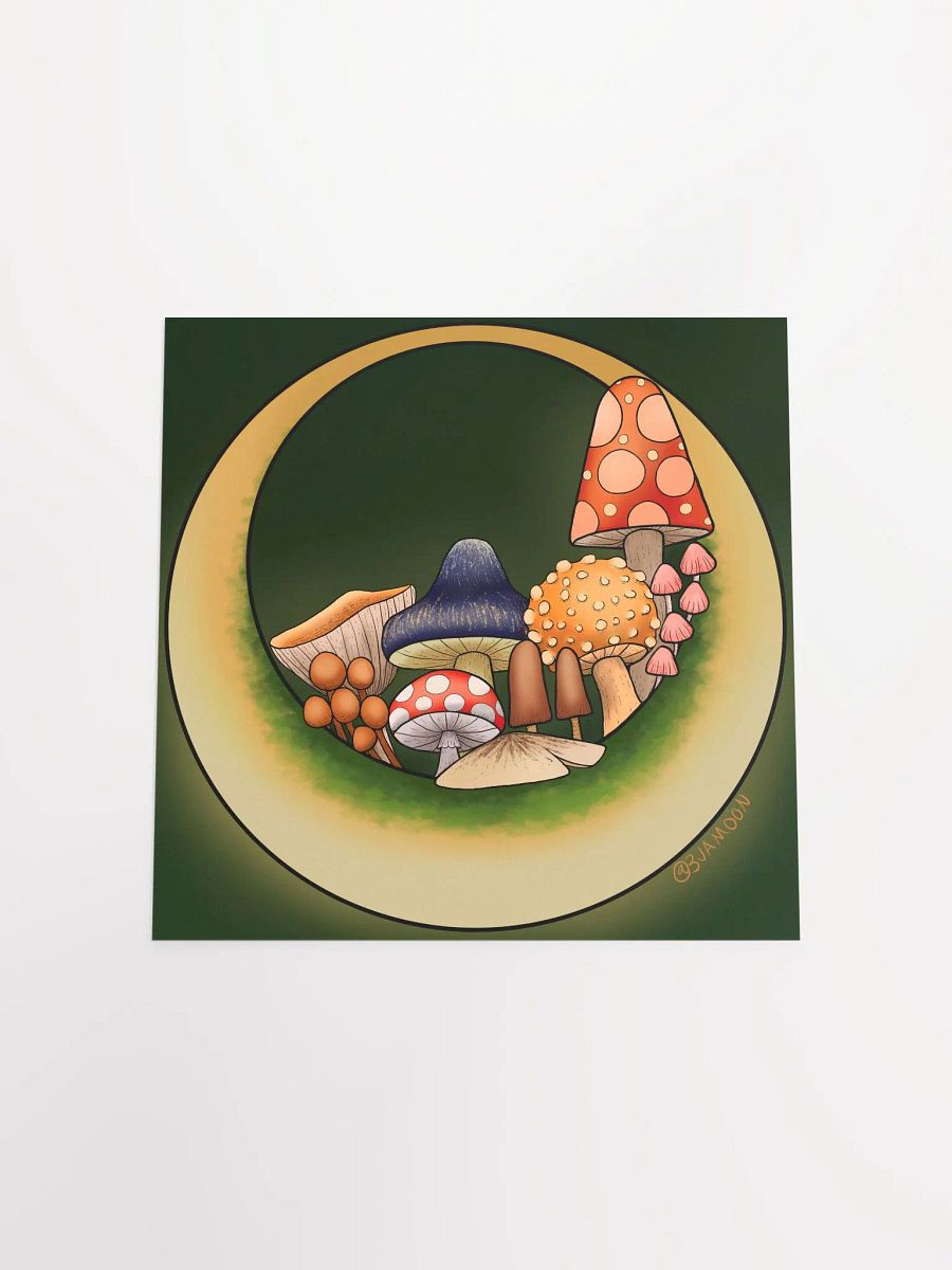 Moonie Shrooms Poster Print product image (12)