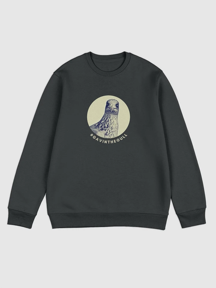 Unisex Sweatshirt featuring Gavin the Gull product image (2)