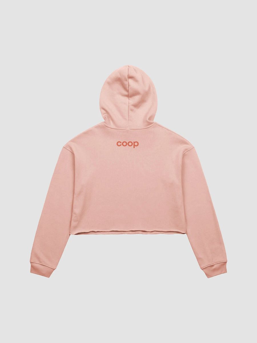 CHICKEN DADDY Cropped Hoodie product image (2)