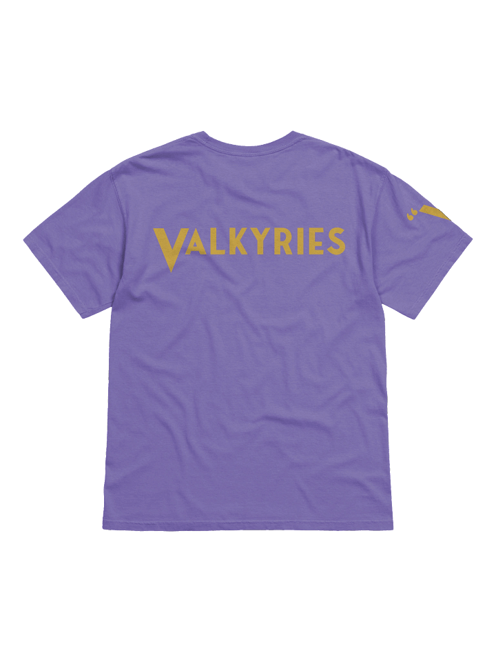 "V" for Valkyries T-Shirt with "V" on Sleeve product image (32)