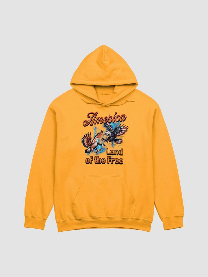 America Land Of The Free Freedom Flight Eagle Hoodie product image (5)