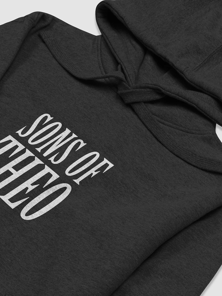 Sons Of Theo Hoodie product image (3)