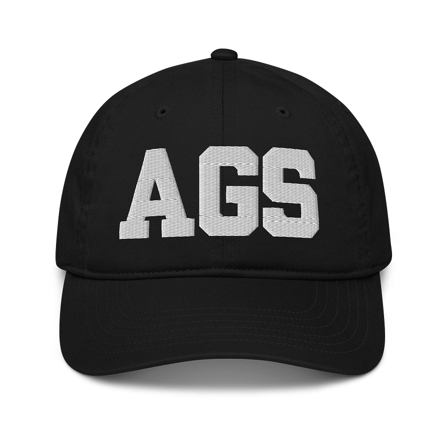 AGS Organic Dad Hat by Econscious product image (1)