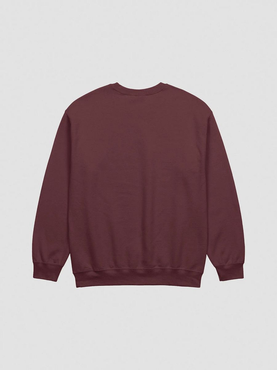 BVR | GEO Crewneck Sweatshirt product image (18)