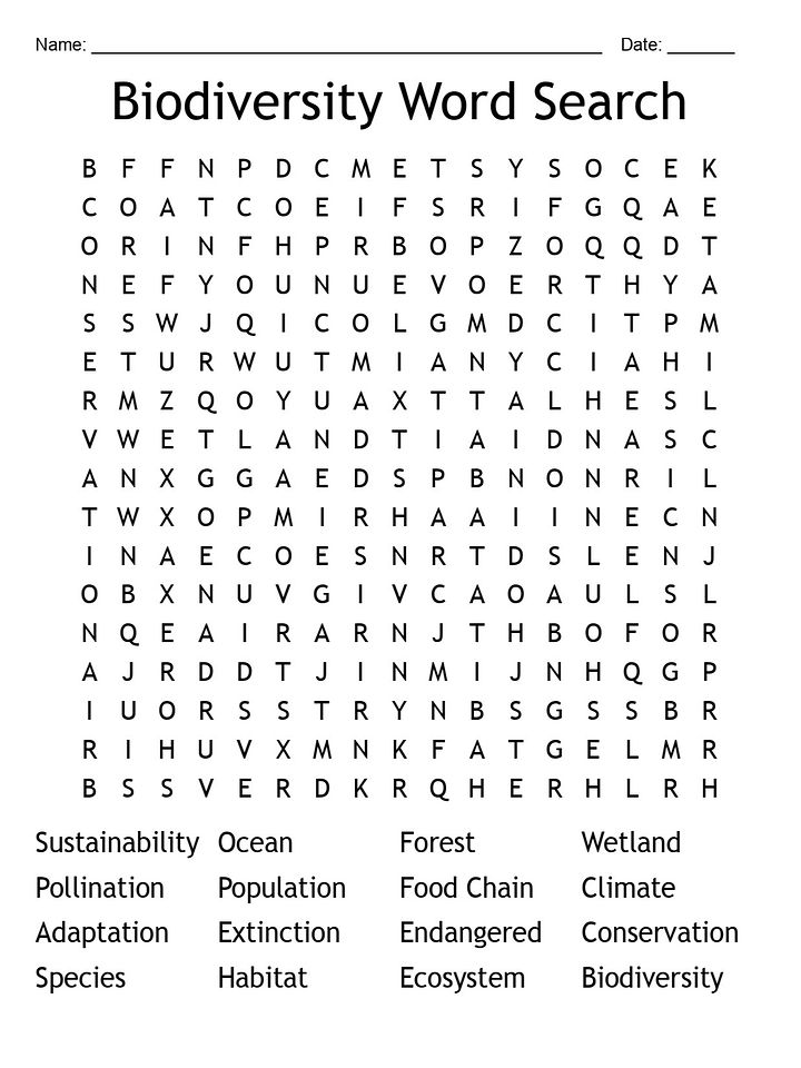 Printable Biodiversity Word Search – Fun Environmental Science Activity! product image (1)
