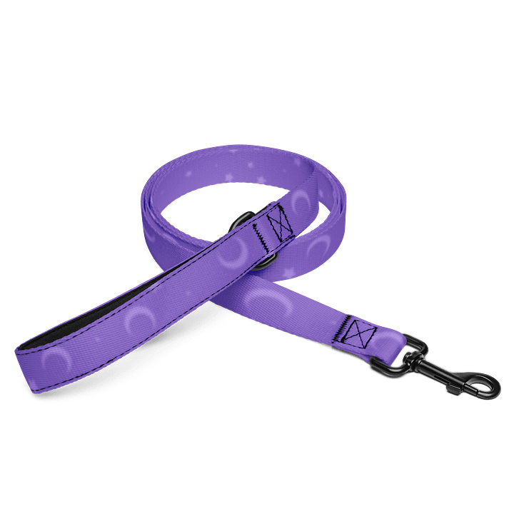 Witchy Leash product image (1)