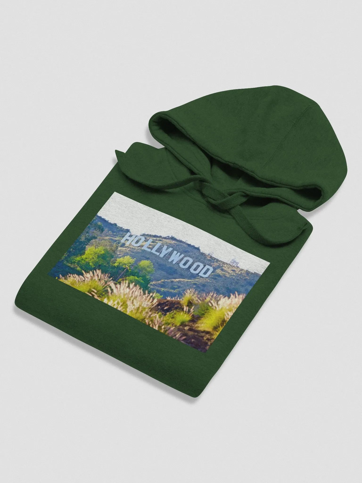 HOLLYWOOD SIGN HOODIE product image (10)