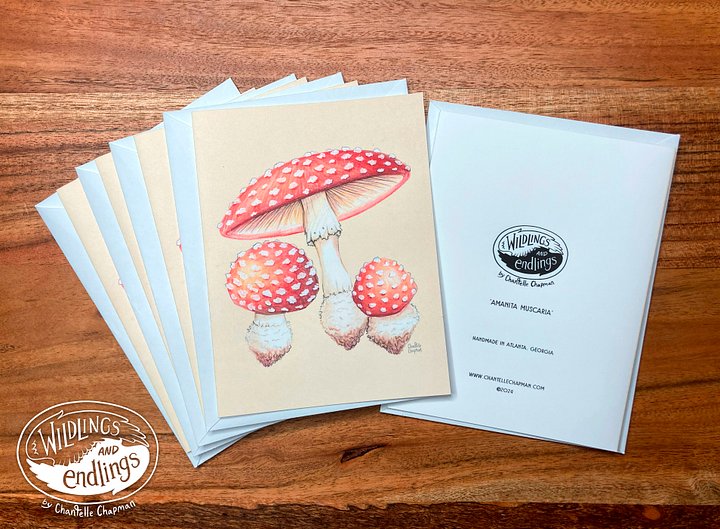 Poisonous Mushroom 'Amanita Muscaria' Fly Agaric - Set of 5 A2 Notecards with Envelopes product image (2)