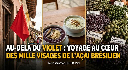 Au-delà de l’açai Violet : Voyage au Cœur des Mille Visages de l’Açaí Brésilien. Sur les trottoirs brûlants du quartier Jurun...