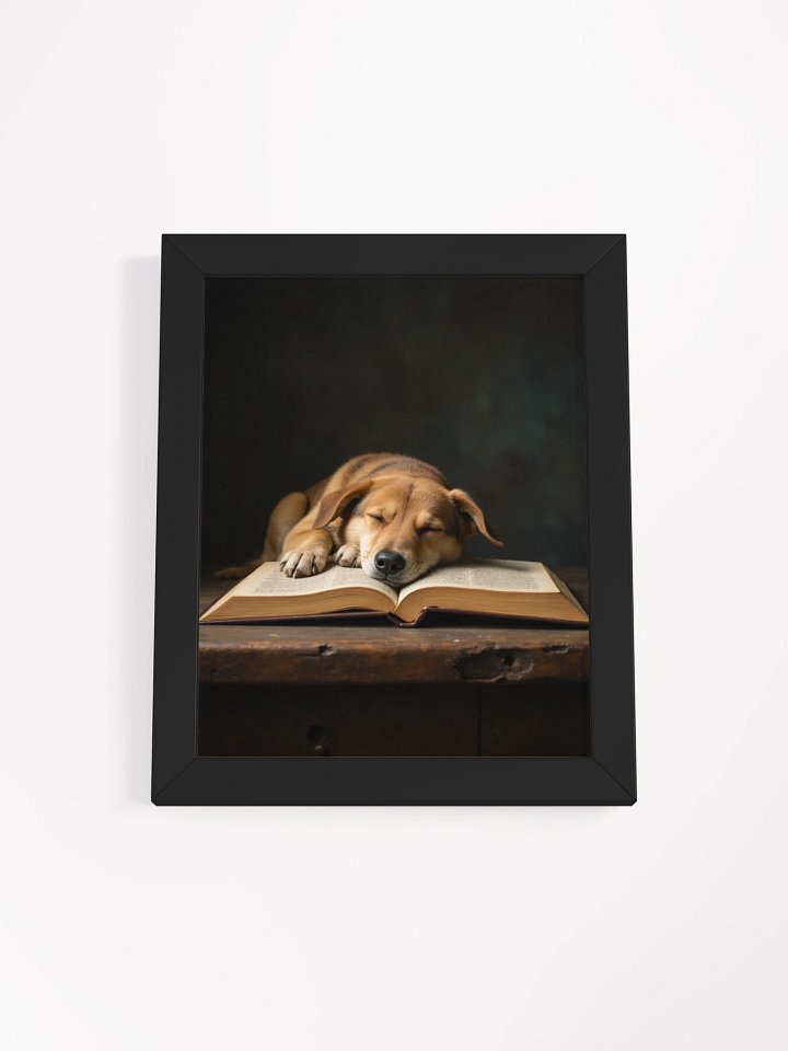 Sleeping Potcake Framed Picture product image (7)