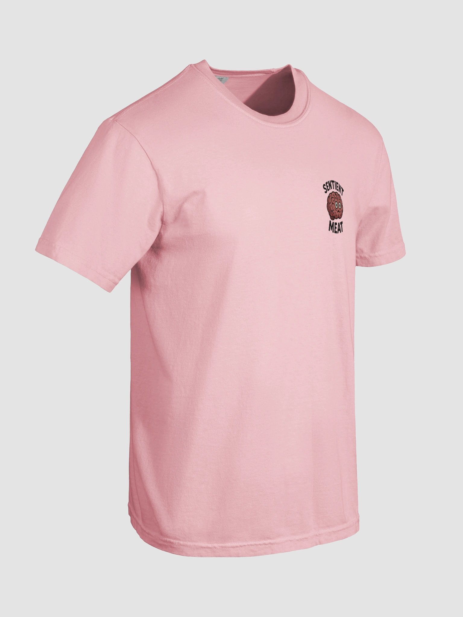 Sentient Meat - T Shirt product image (7)