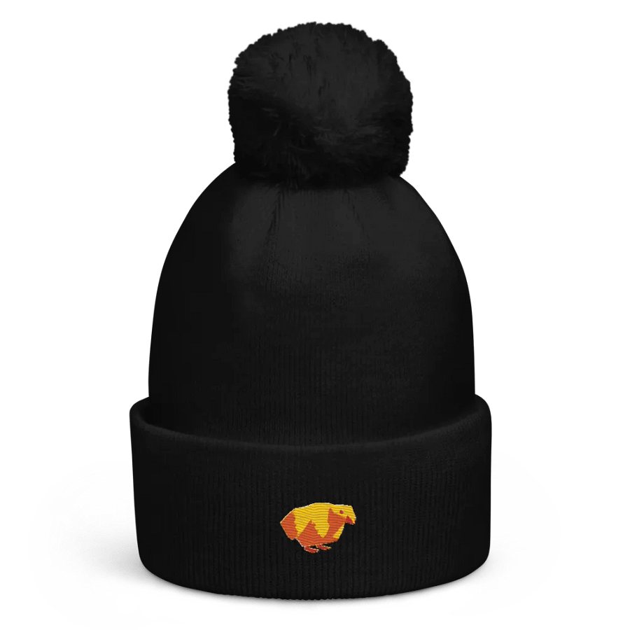 Berb Pom-Pom Beanie product image (1)