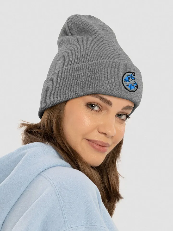 TFP | Dark Logo Embroidered Beanie product image (1)