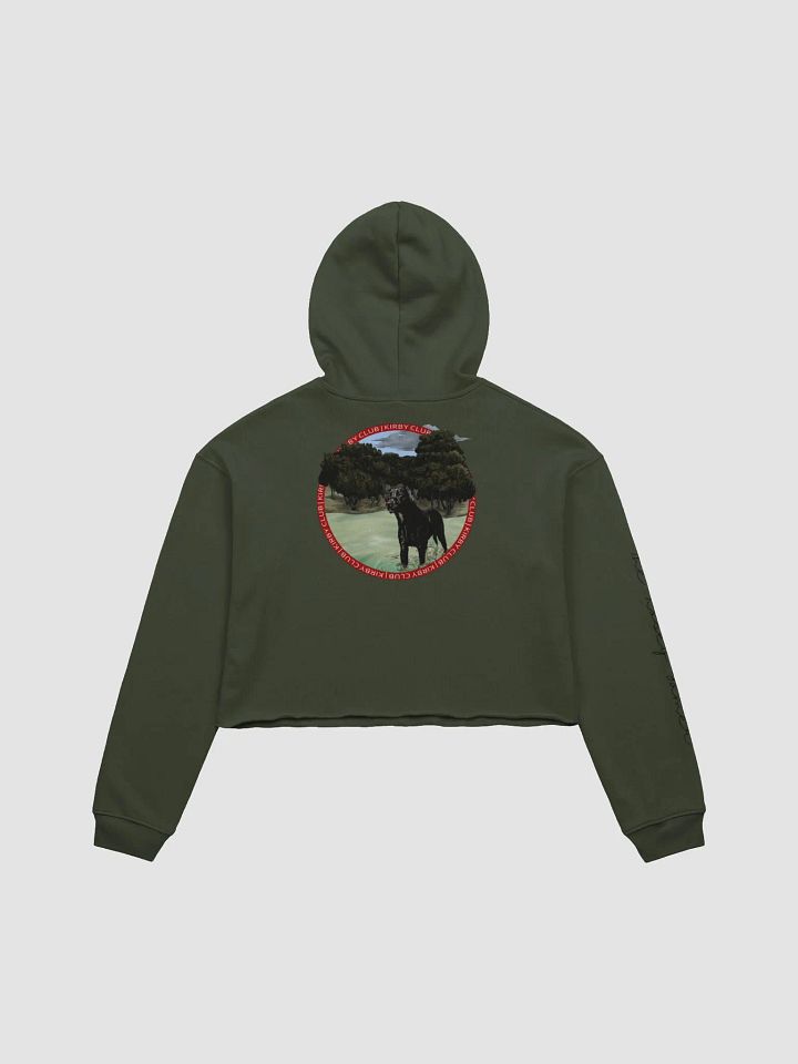 Kirby Club Crop Hoodie product image (2)