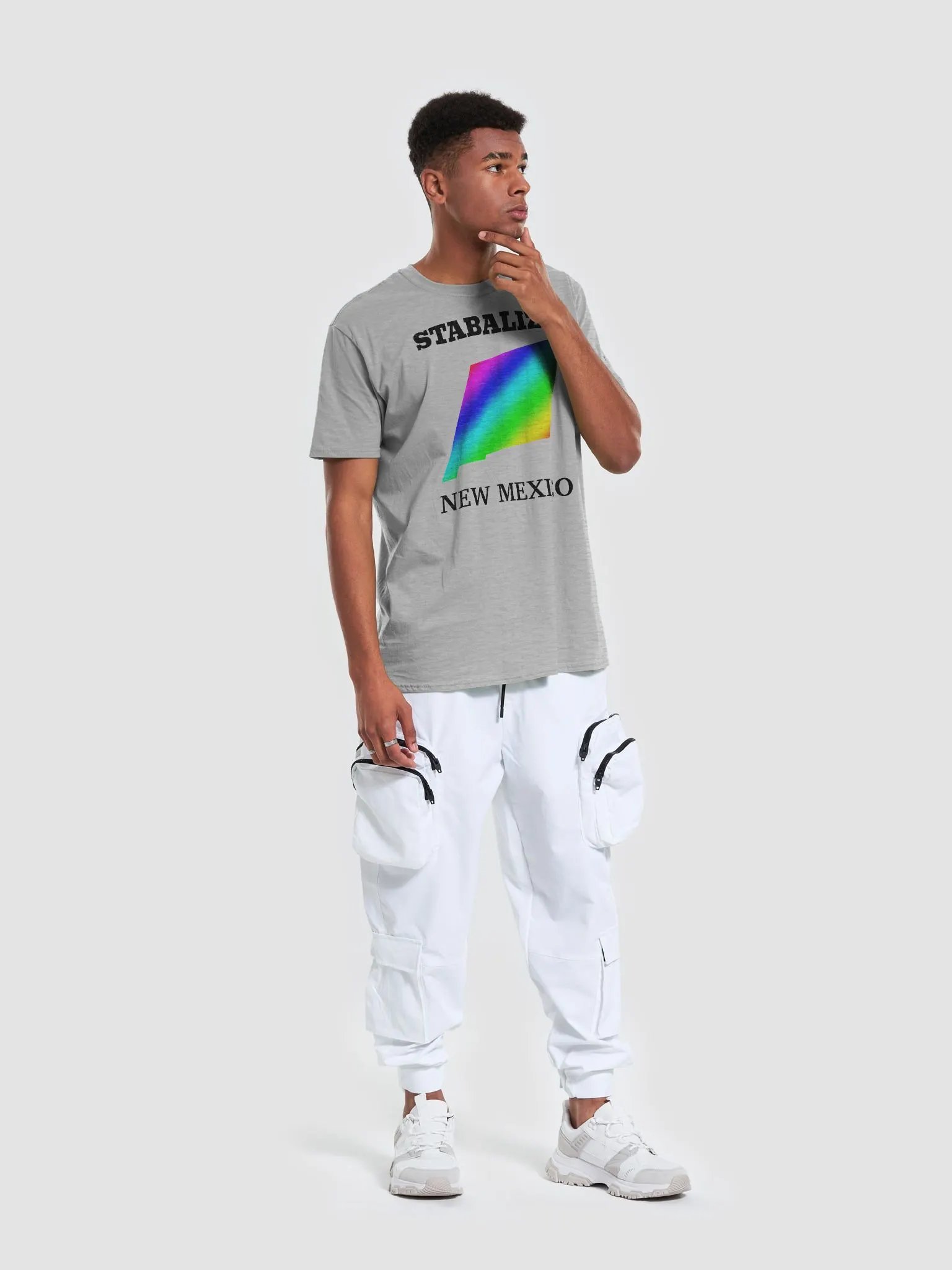 Stabalize New Mexico product image (5)
