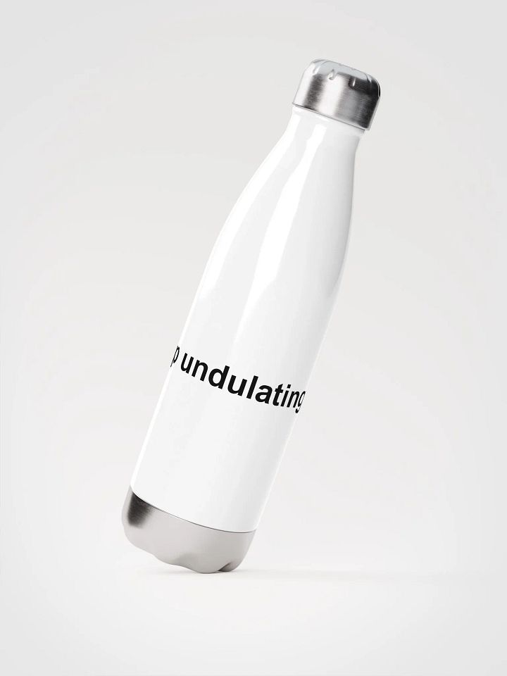 Stop Undulating Water Bottle product image (2)