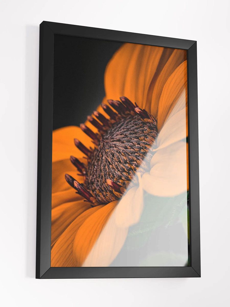 Orange You Glad Sunflower product image (3)
