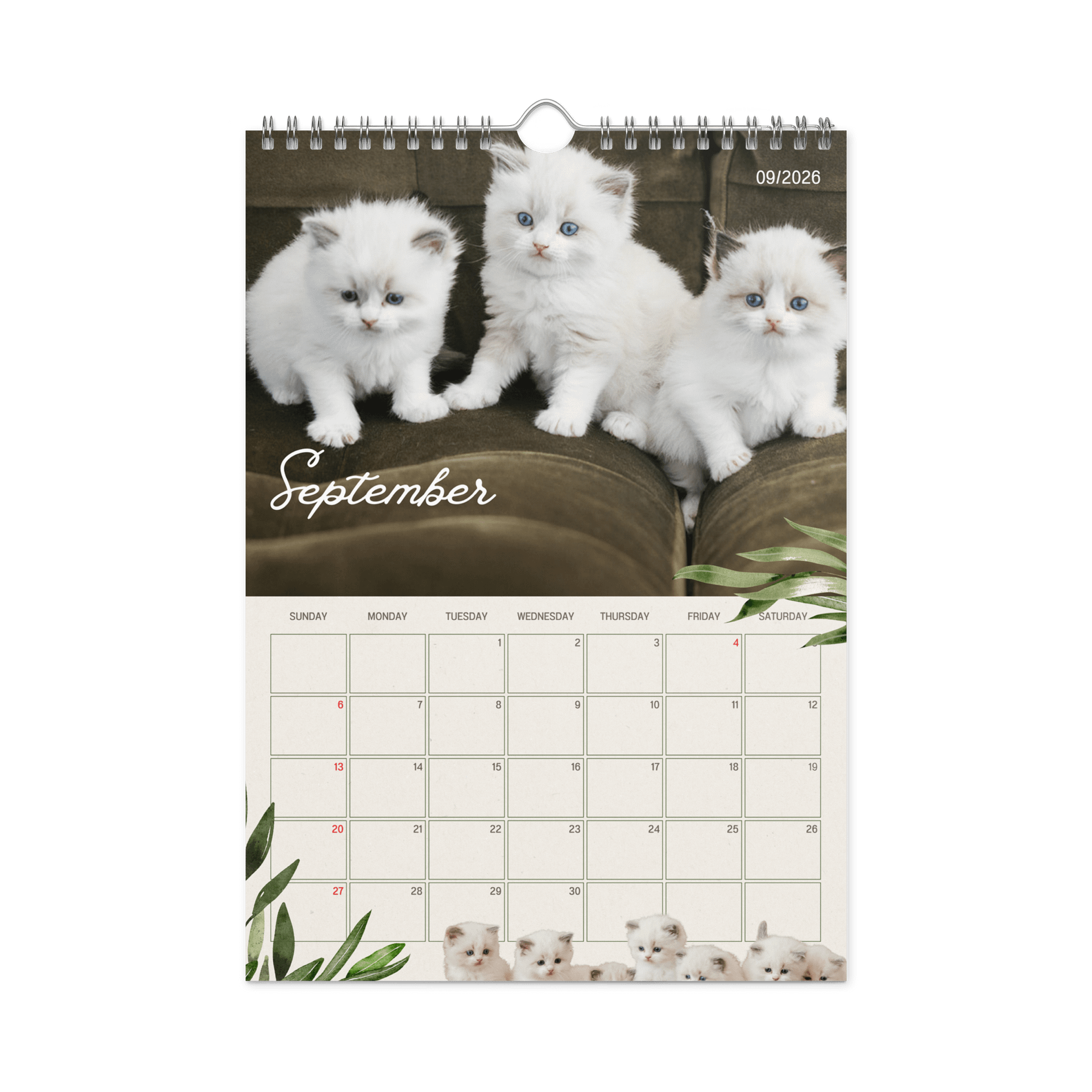 2026 Pearl's Ragdolls Calendar product image (6)