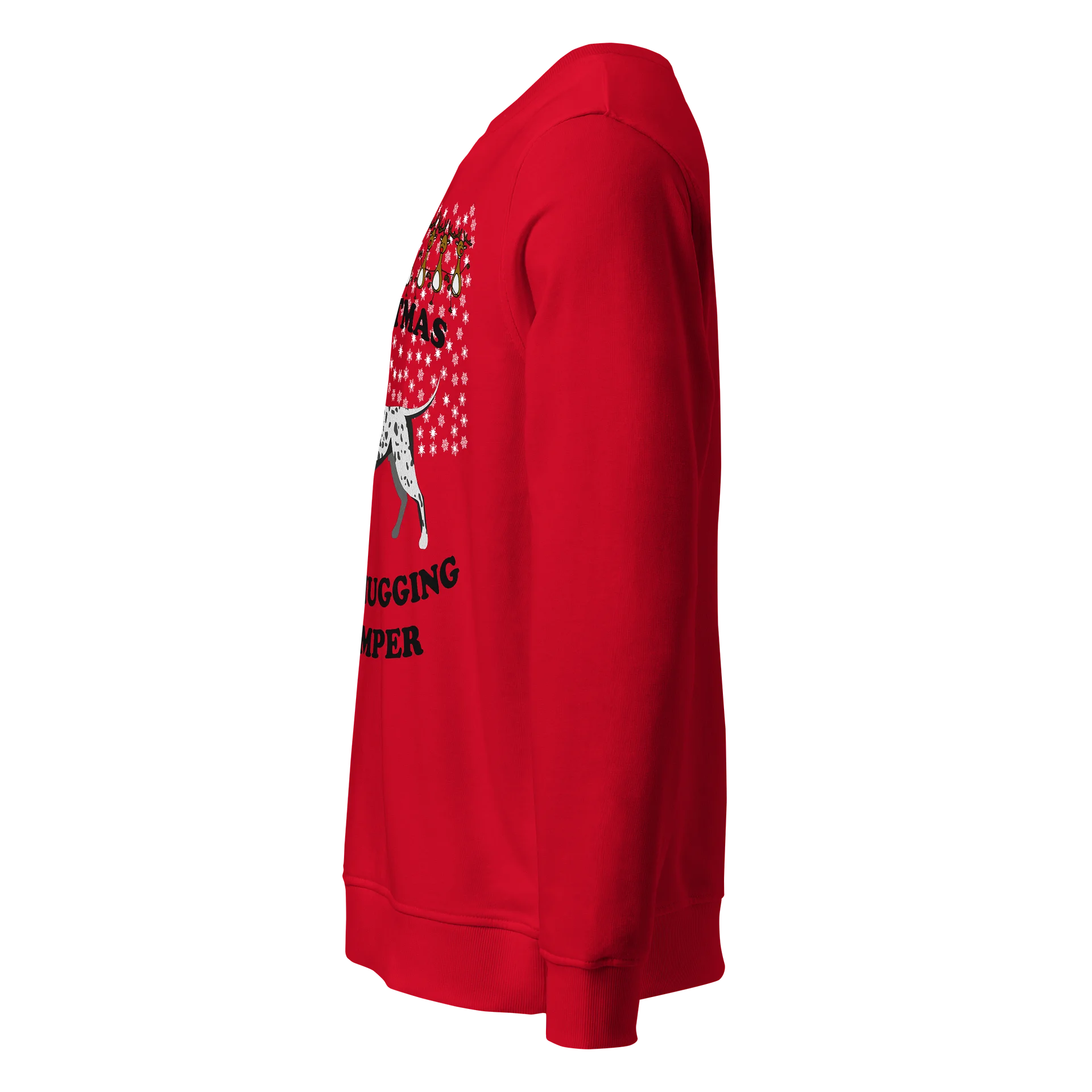 Christmas Dog Hugging, Dalmatian product image (23)