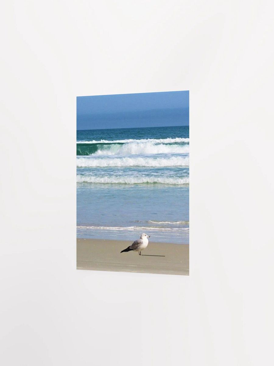 Beach Bird product image (23)