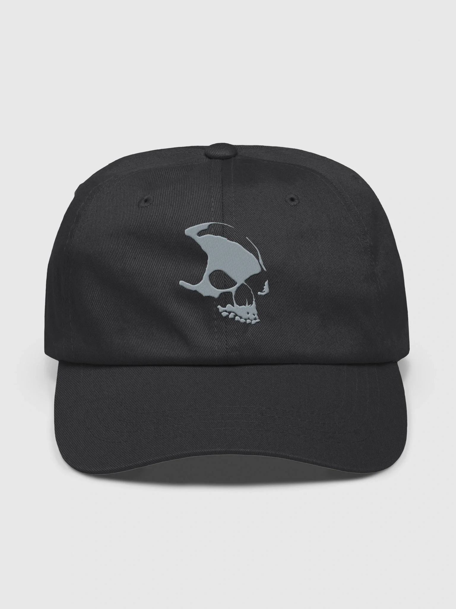 Armada Skull Dad Hat product image (33)