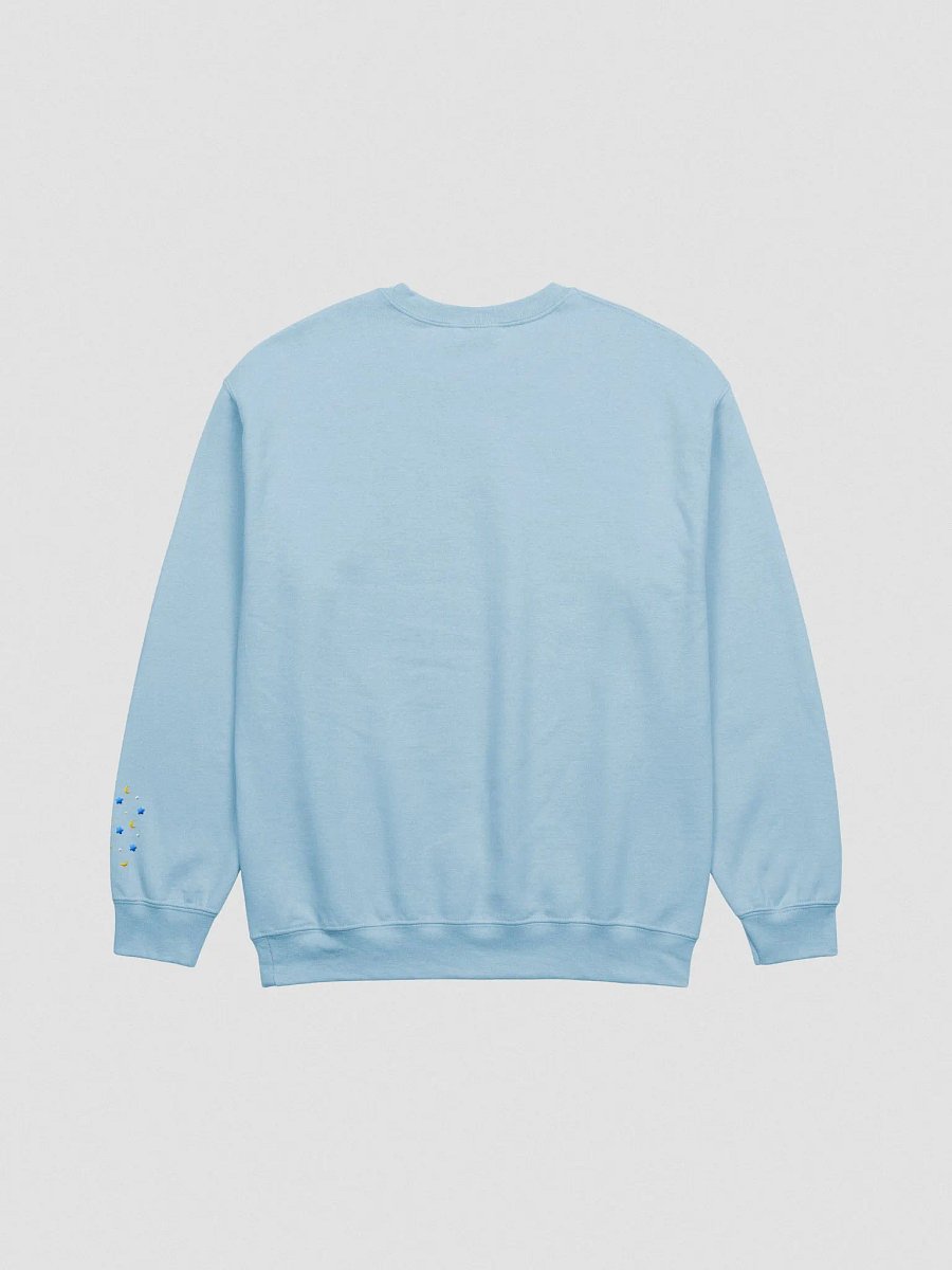 Raindrops Embroidered Sweatshirt product image (10)