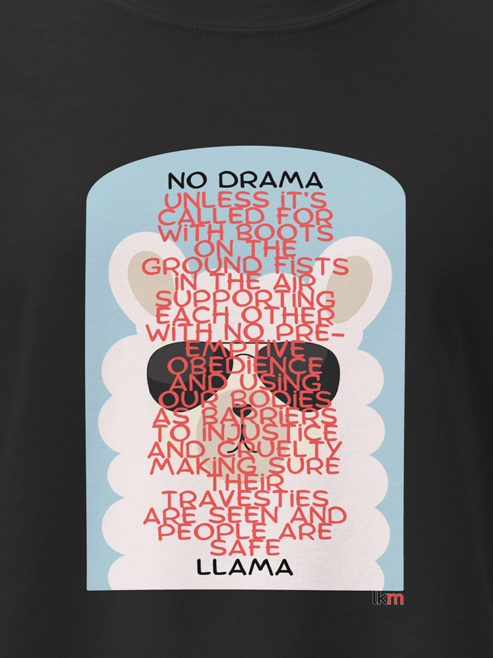 Drama Llama LKM Boxy Tee product image (2)
