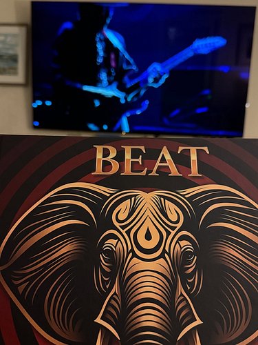 BEAT Live 
Adrian Belew, Steve Vai, Tony Levin, Danny Carey
The music of 80s King Crimson.
Stunning
Full review soon