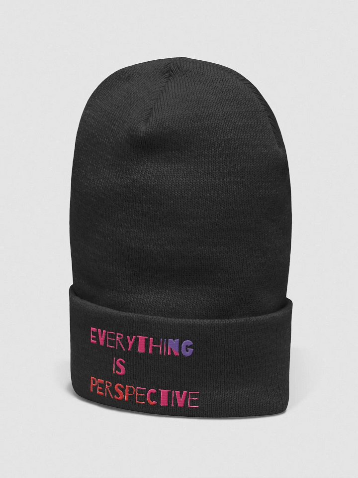 Everything Is Perspective product image (2)