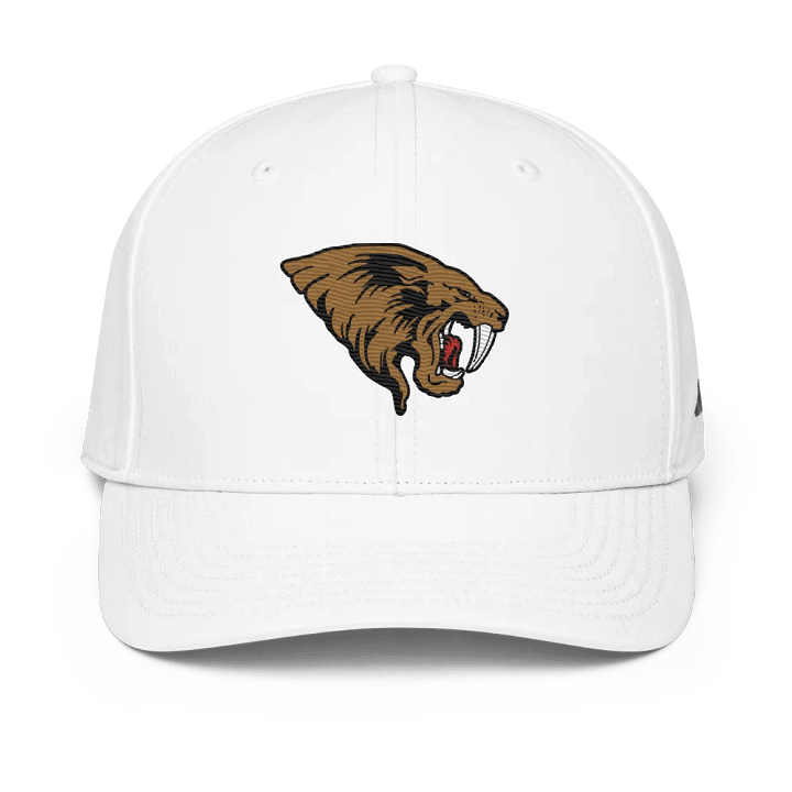 San Jose Sabercats Adidas Performance Hat product image (33)
