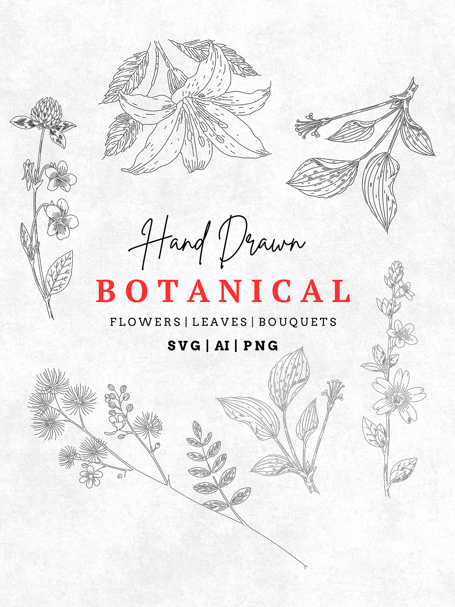 Botanical Line Art Bundle – Floral SVG Art Collection with Flowers, Leaves, Plants, and More product image (1)