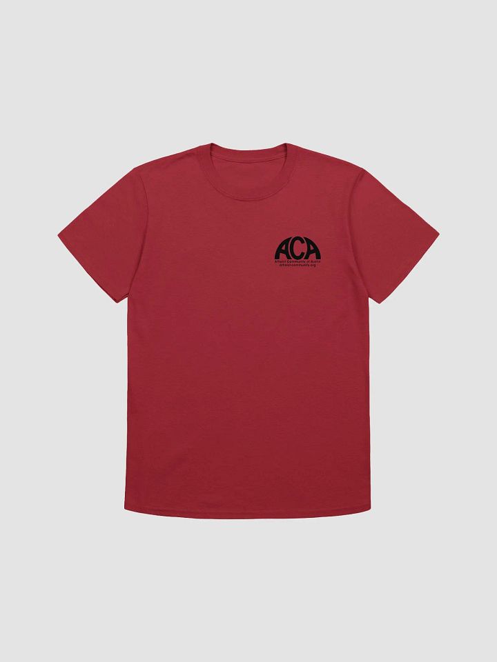 Atheists for Secular Government - Tee Shirt product image (2)