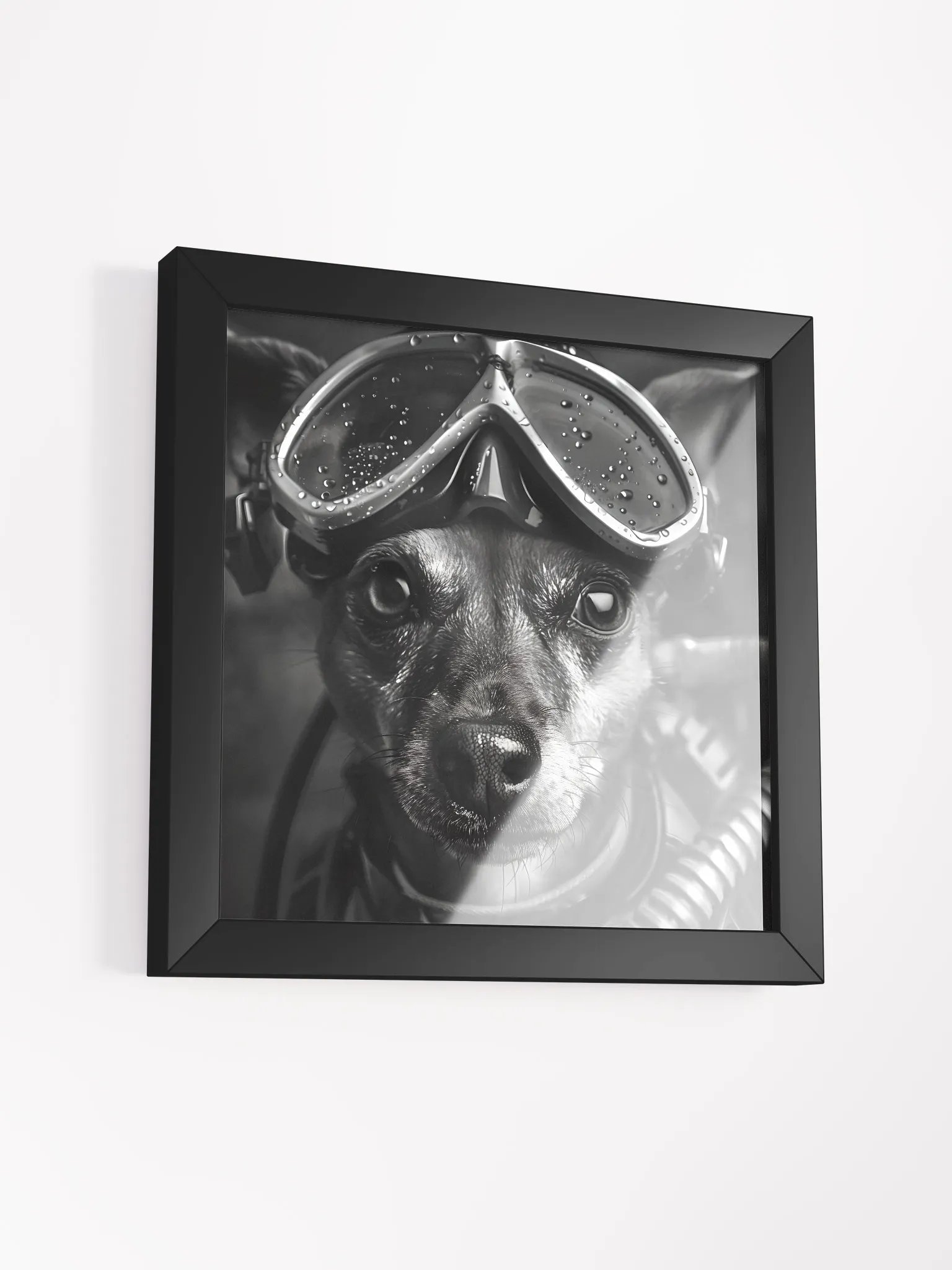 SCUBA Dog product image (31)