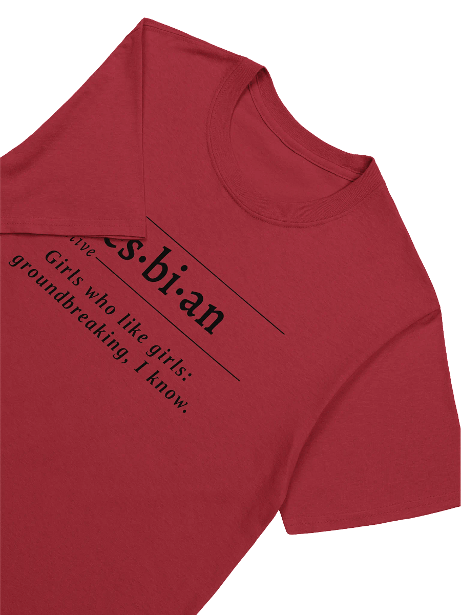 Lesbian Def Unisex Tee v2 product image (2)