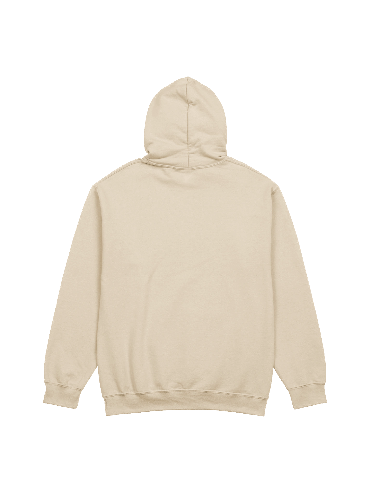 Endo Controller Hoodie product image (3)