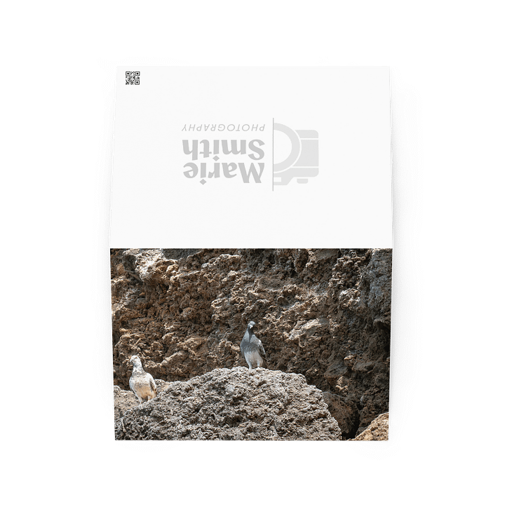 Curious Birds Greeting Card product image (2)