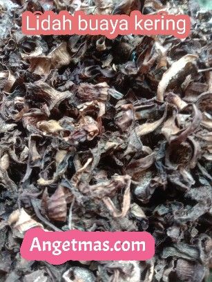 Lidah buaya kering product image (1)