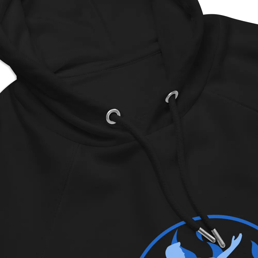 Court Sigil Hoodie product image (8)