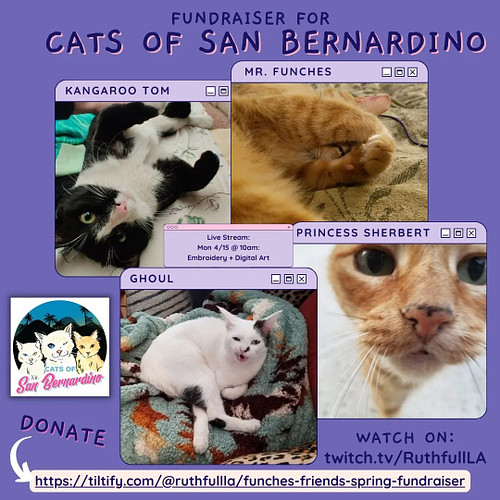 Starting Monday, we're raising money on stream for @catsofsanbernardino and it's gonna take ALL the cool cats to help us reac...