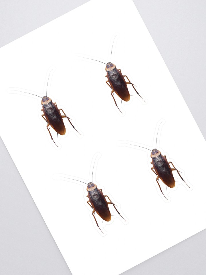 Roach Sticker product image (1)