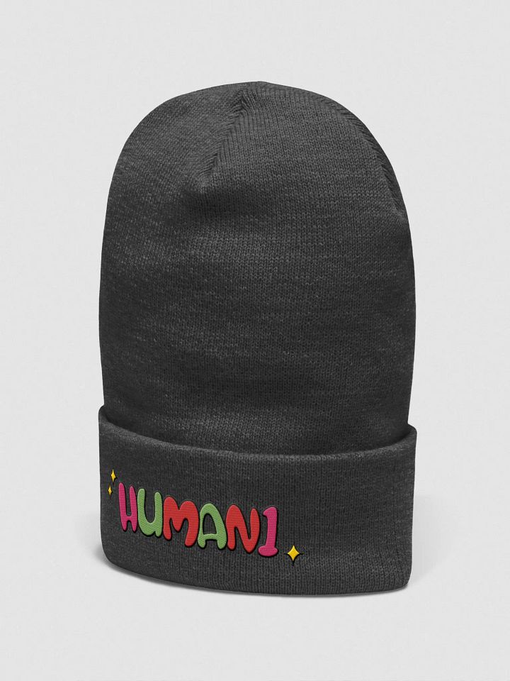 Human1 Colour Block || Knit Beanie product image (11)