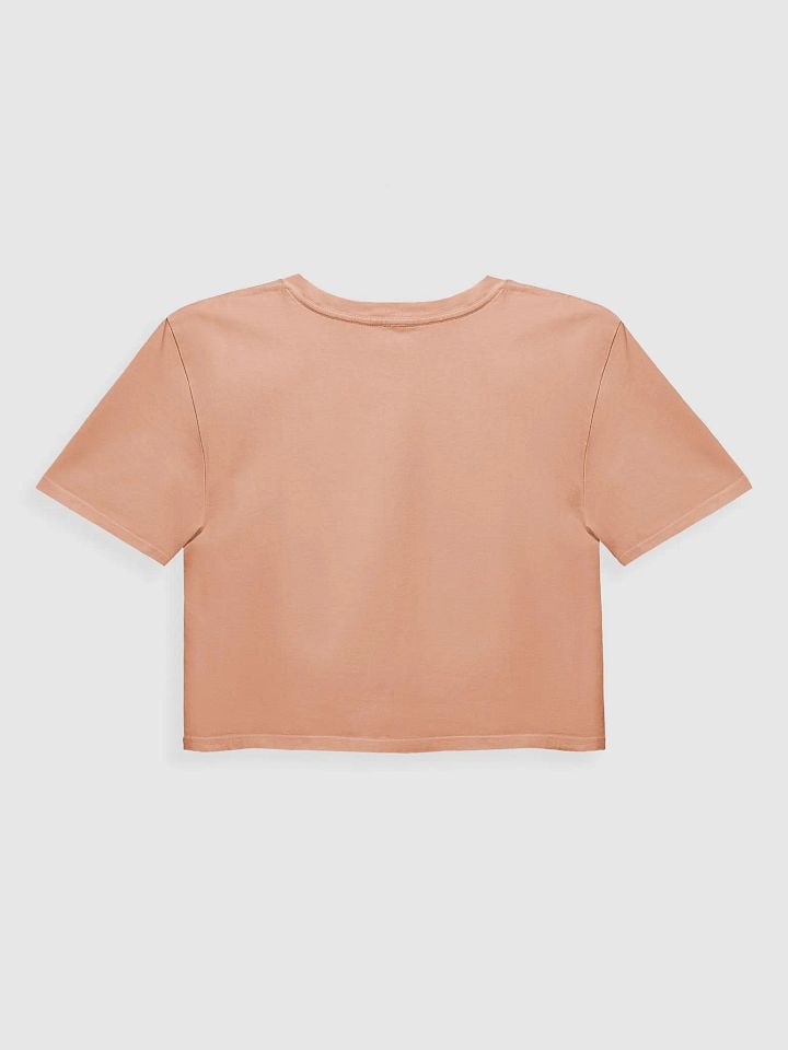 Lost Records: Bloom & Rage Point Pleasant Crop Top product image (10)