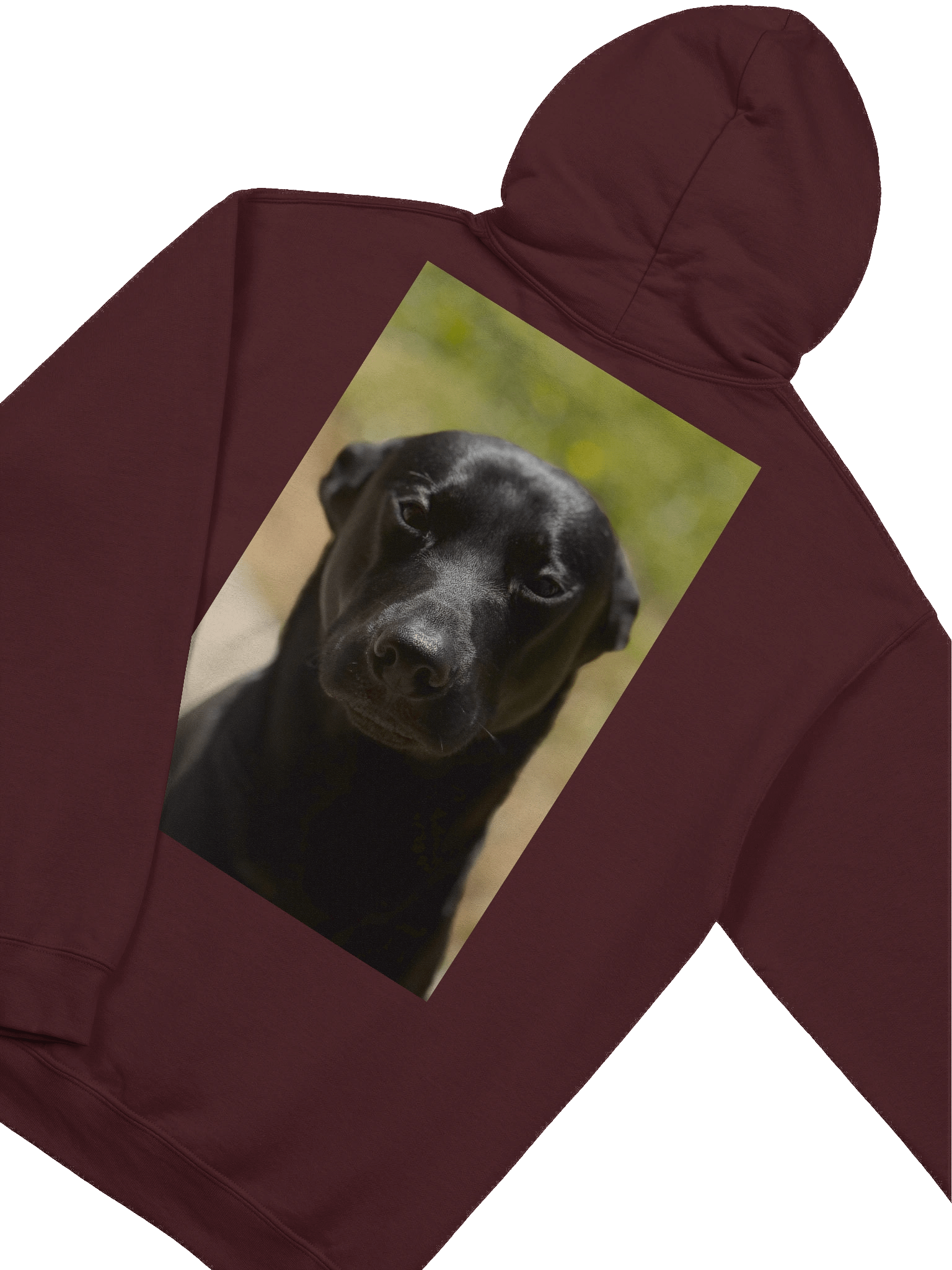 PN Classic Hoodie Limited product image (11)